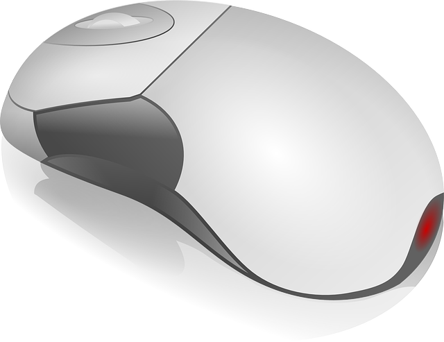 computer-mouse-23266_640