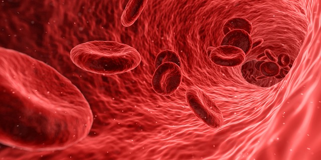 krvinky.jpg
